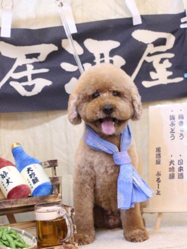 20240619ジョンくん